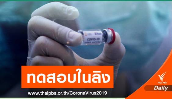 ครั้งแรก ทีมวิจัยจุฬาฯ-วช.เริ่มทดสอบวัคซีน COVID-19 ในลิง