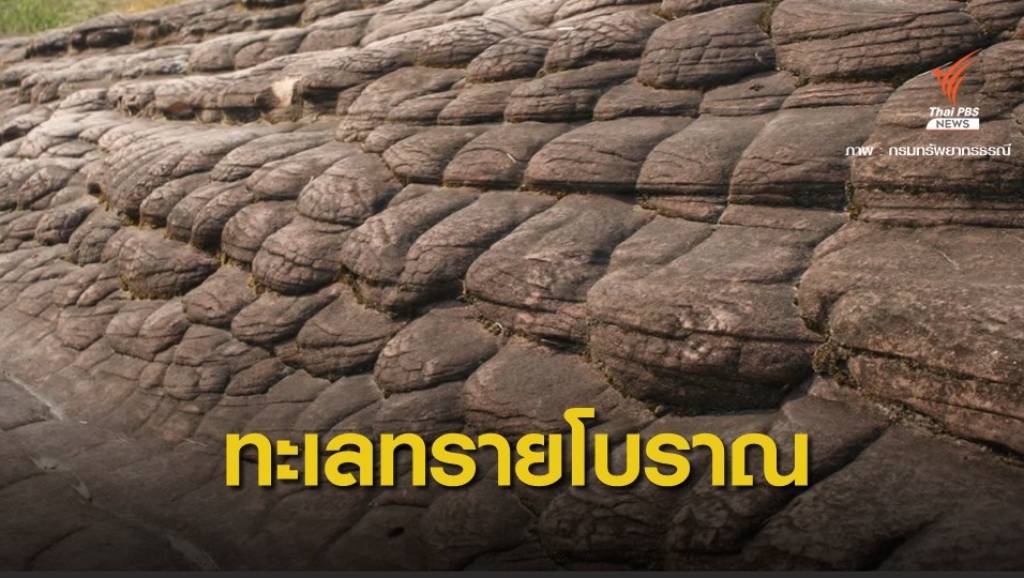 ไขคำตอบทางธรณี "หินเกล็ดพญานาค" บนภูลังกา | Thai PBS News ข่าว ...