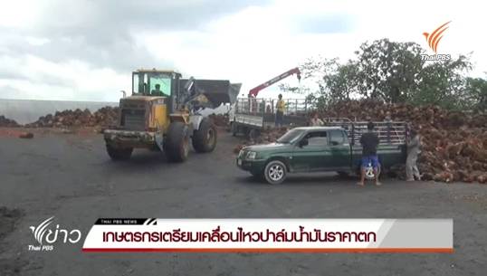 เกษตรกรเตรียมเคลื่อนไหวหลังปาล์มน้ำมันราคาตก