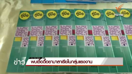 กรมควบคุมโรคเผยพบเชื้อดื้อยามาลาเรียในกลุ่มแรงงาน