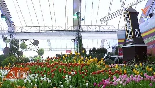 ไม้เมืองหนาวบานฤดูร้อน ด้วยความเย็นจากก๊าซธรรมชาติ