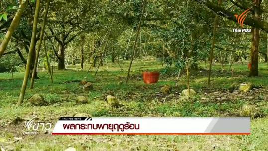 หลายพื้นที่ได้รับผลกระทบจากพายุฤดูร้อน