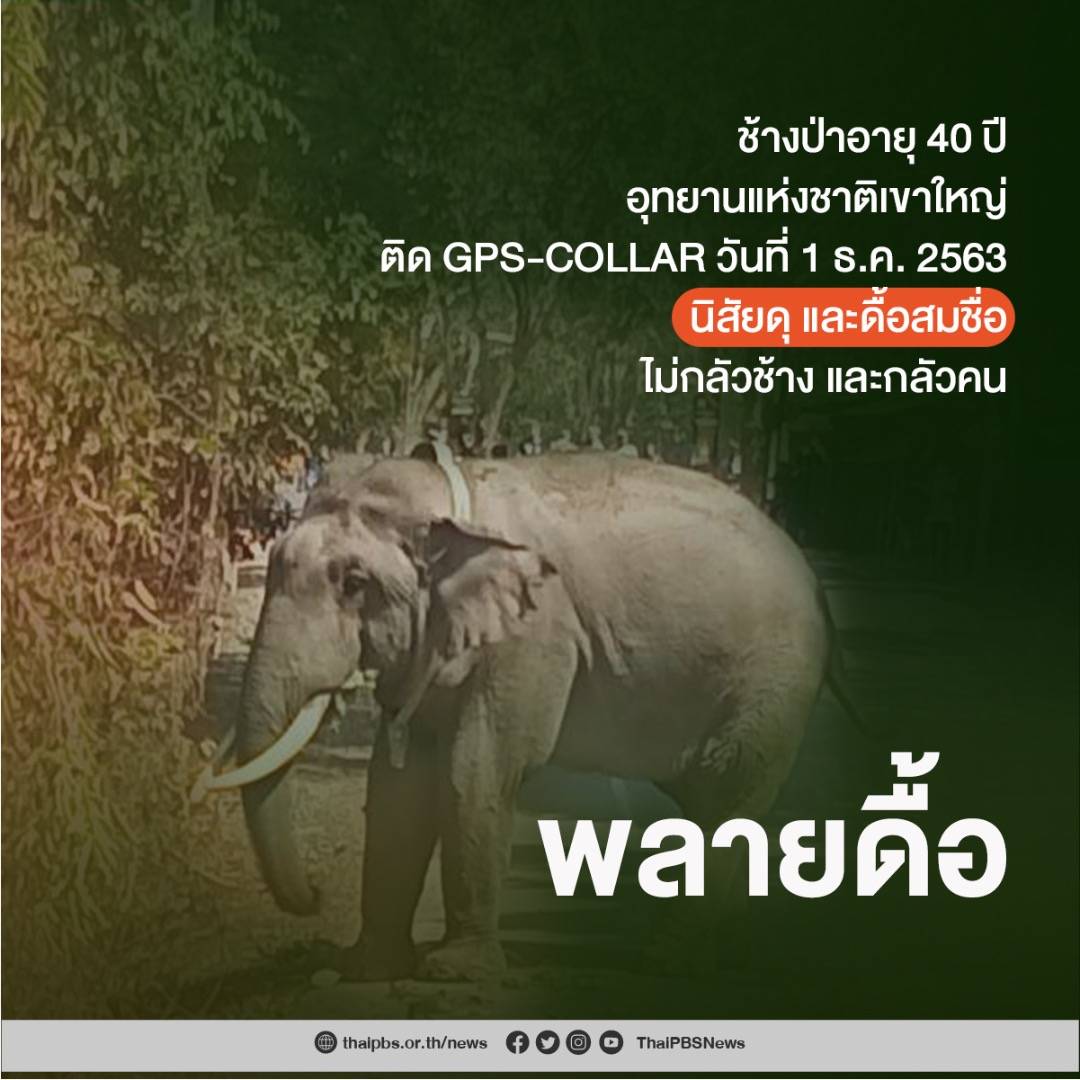 https://news.thaipbs.or.th/media/v57mCHwLbnPdirFLCQsNE90Dsfoo.jpg
