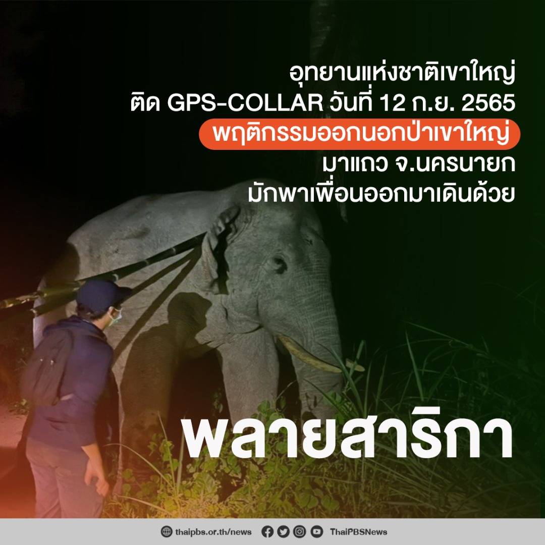 https://news.thaipbs.or.th/media/v57mCHwLbnPdirFLCQsNE90DsfwV.jpg