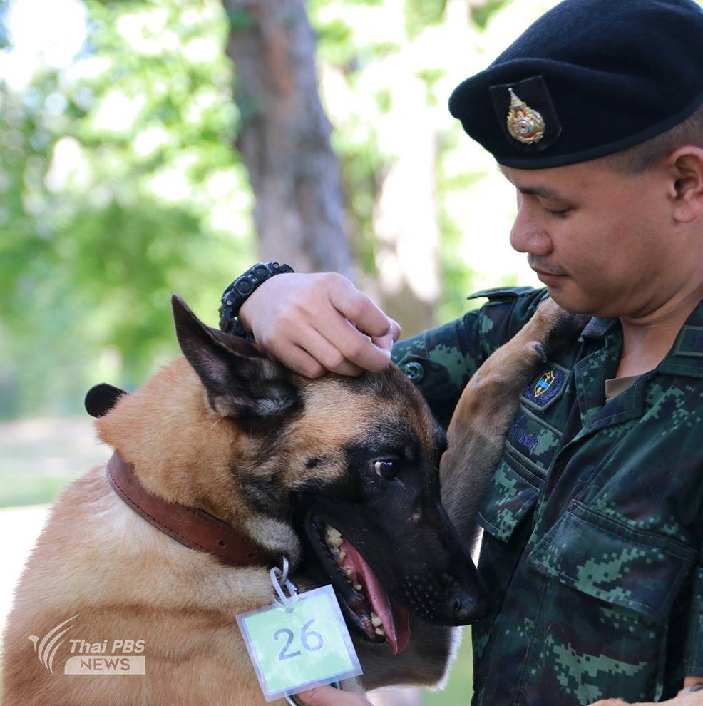 https://news.thaipbs.or.th/media/v57mCHwLbnPdirFMpTXfBmzqSdW2.jpg