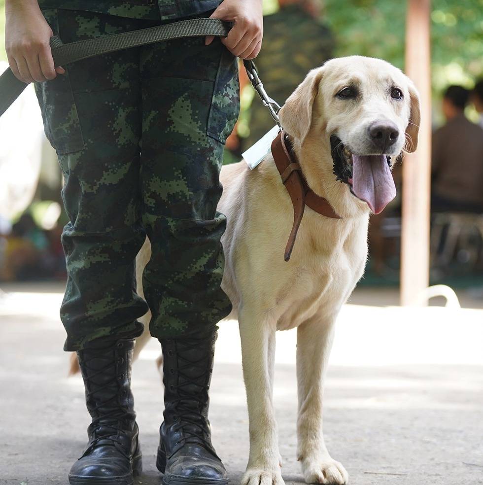 https://news.thaipbs.or.th/media/v57mCHwLbnPdirFMpTXfBmzqSda3.jpg