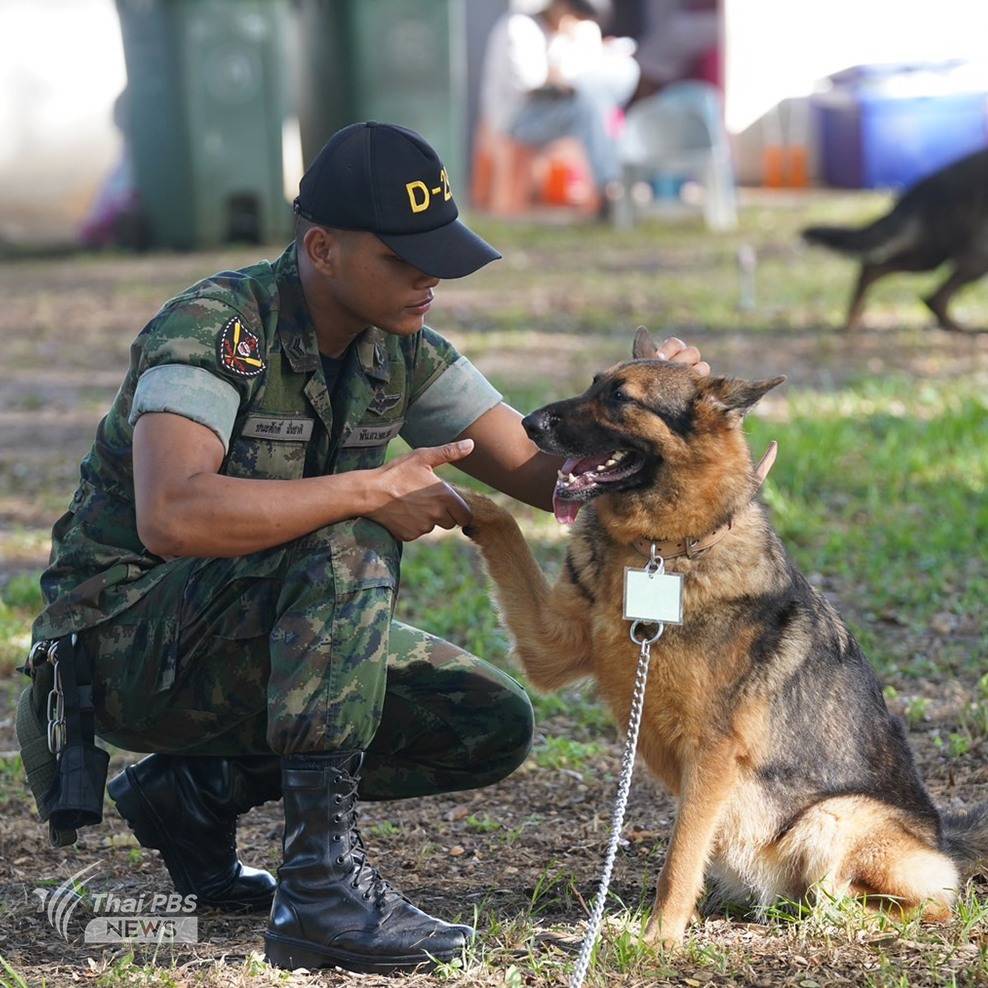 https://news.thaipbs.or.th/media/v57mCHwLbnPdirFMpTXfBmzqSdg4.jpg