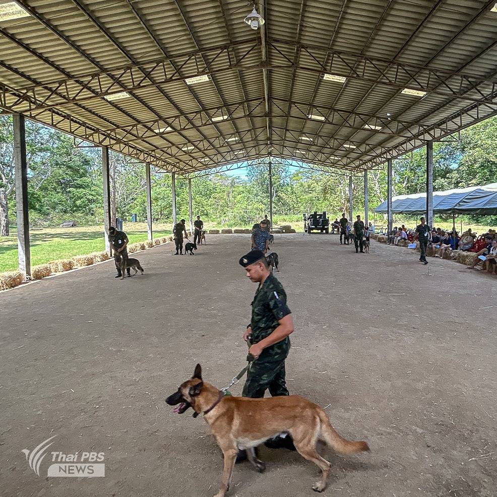 https://news.thaipbs.or.th/media/v57mCHwLbnPdirFMpTXfBmzqSdlt.jpg