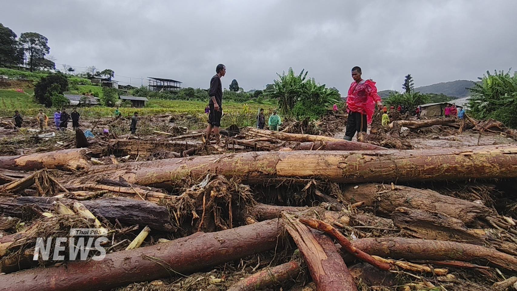 https://news.thaipbs.or.th/media/v57mCHwLbnPdirFMrXScI8GTs9KZ.jpg