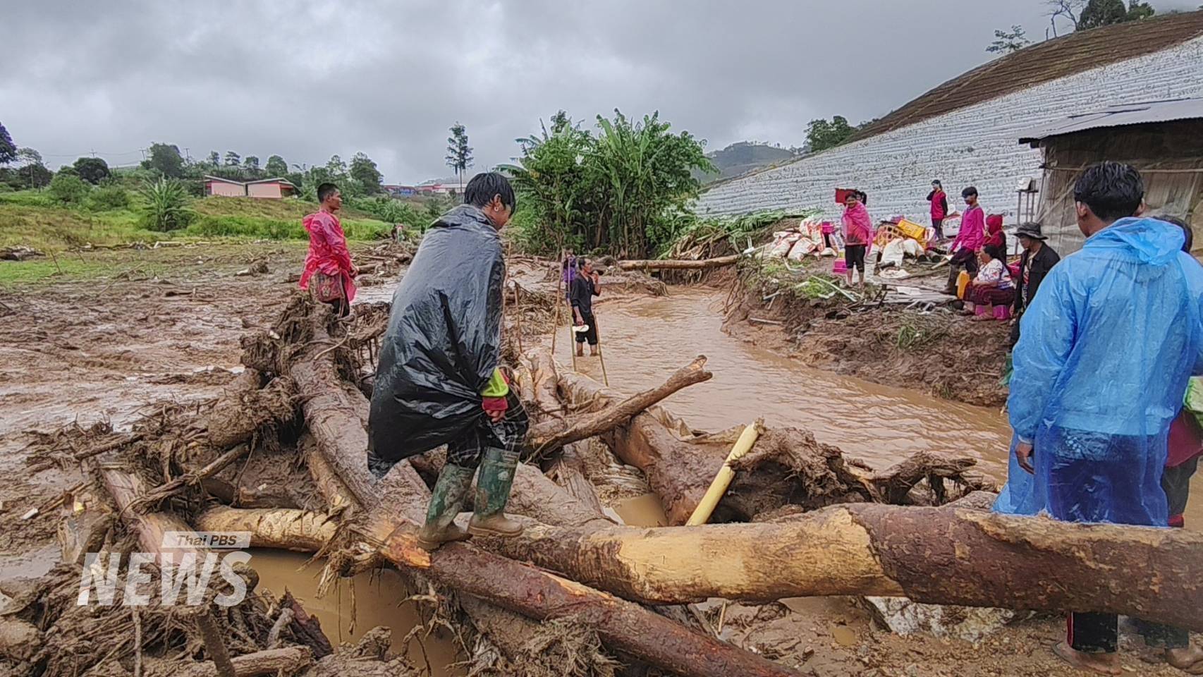 https://news.thaipbs.or.th/media/v57mCHwLbnPdirFMrXScI8GTs9Mn.jpg