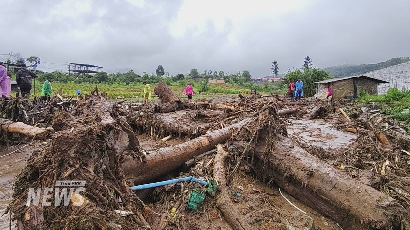 https://news.thaipbs.or.th/media/v57mCHwLbnPdirFMrXScI8GTtAGo.jpg